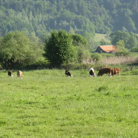 Gæstehus Laggner Steindorf am Ossiacher See