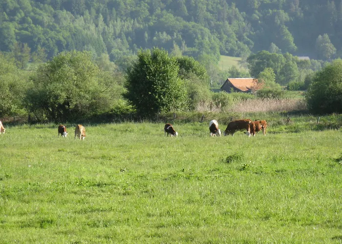 Gasthuis Laggner Steindorf am Ossiacher See